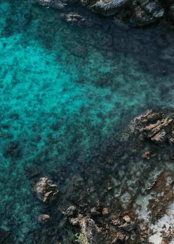 Snorkeling Or Boat Ride Only